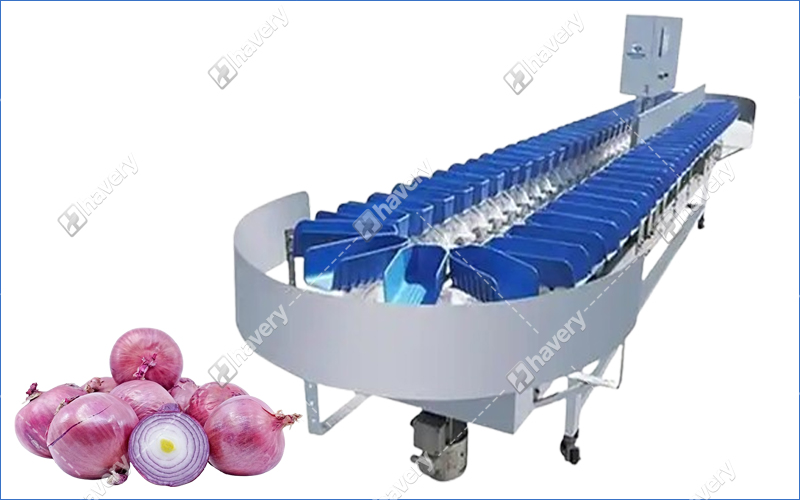 onion grading sorting machine