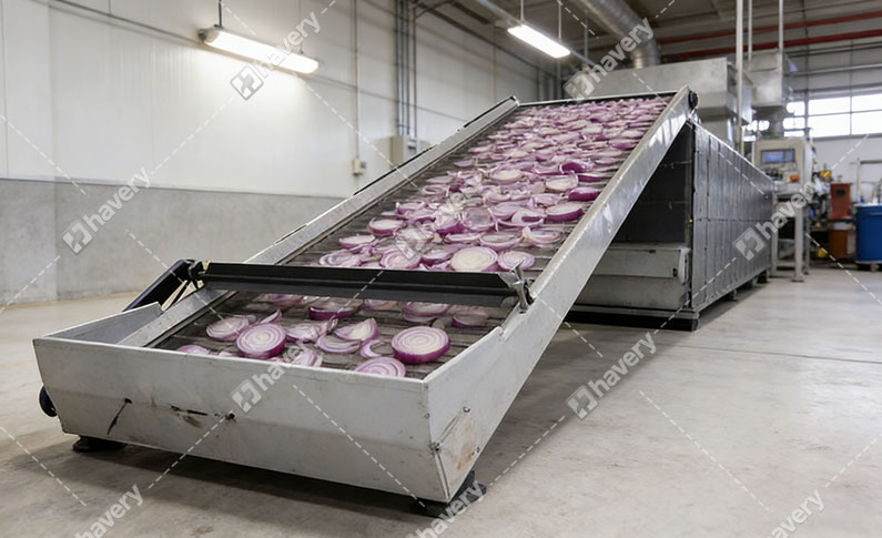 onion drying machine details