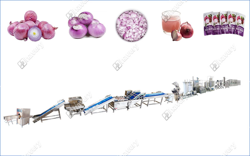 onion juice production line
