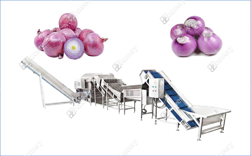 onion peeling and cutting machine