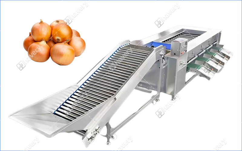 Industrial Onion Size Sorting Machine With Roller Bar Adjustable Grading onion size sorting machine