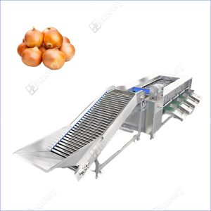 onion size sorting machine