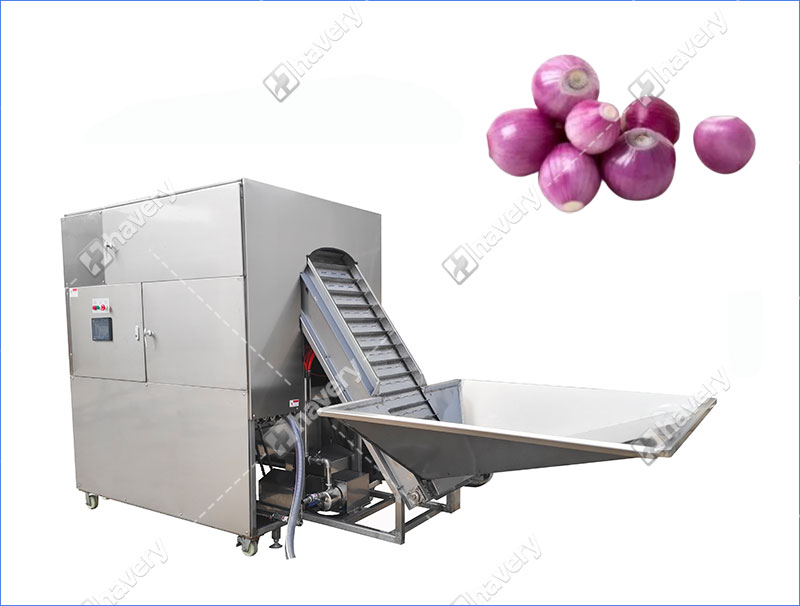 Stainless Steel Shallots Peeling Machine For Small Onion Skin Removing stainless steel shallots peeling machine for small onion skin removing
